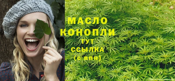 2c-b Горнозаводск