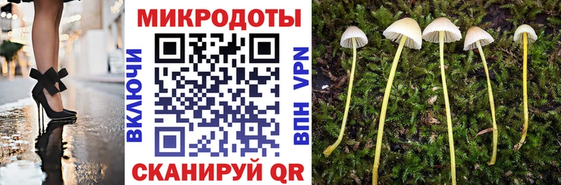 Псилоцибиновые грибы Psilocybine cubensis  Яхрома 